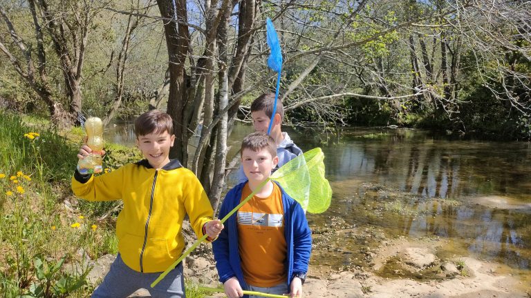 MicrosoftTeams-image (40)