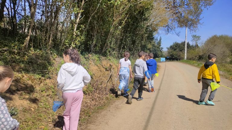 MicrosoftTeams-image (44)