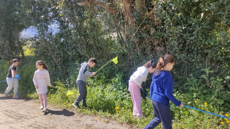 MicrosoftTeams-image (45)