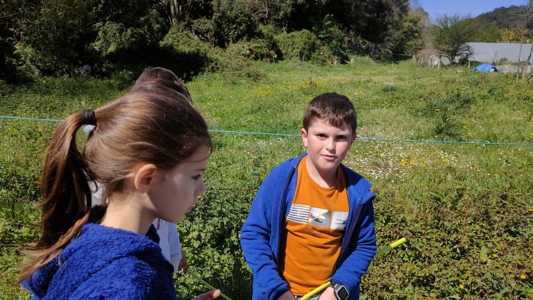 MicrosoftTeams-image (49)