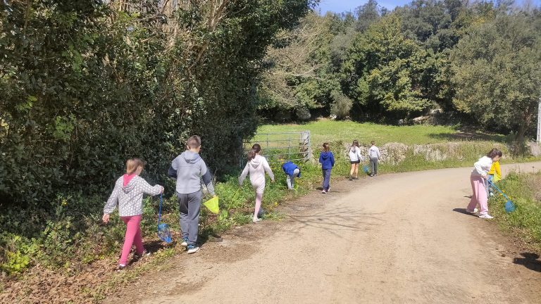 MicrosoftTeams-image (50)