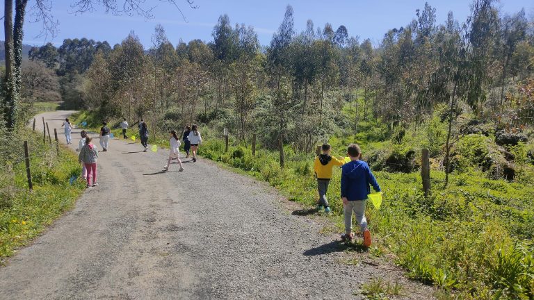 MicrosoftTeams-image (51)