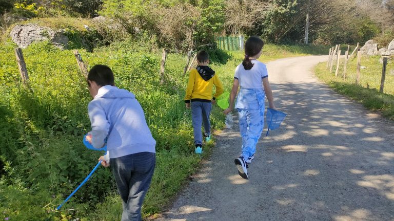 MicrosoftTeams-image (62)