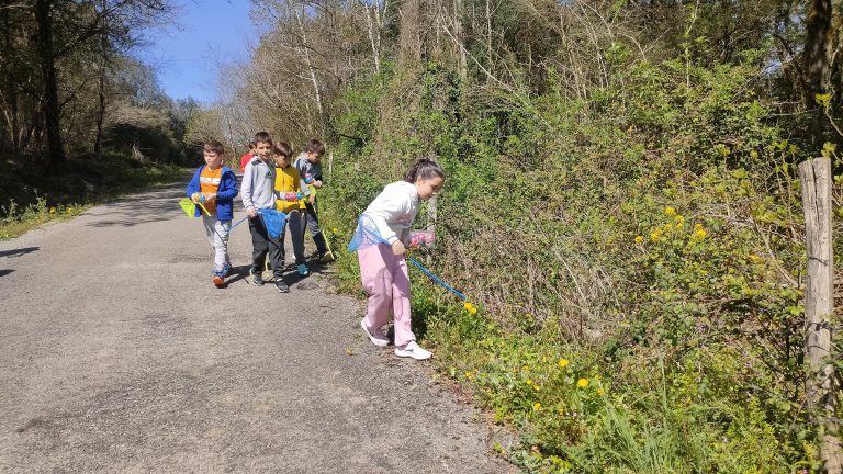 MicrosoftTeams-image (63)