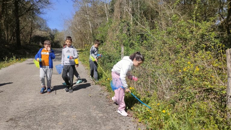 MicrosoftTeams-image (65)