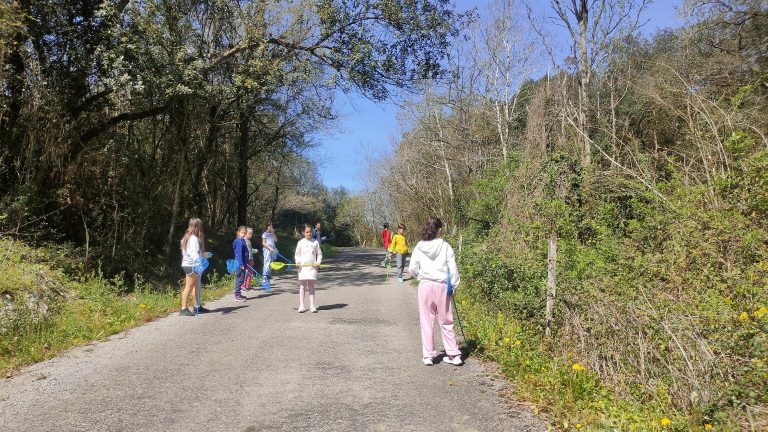 MicrosoftTeams-image (66)