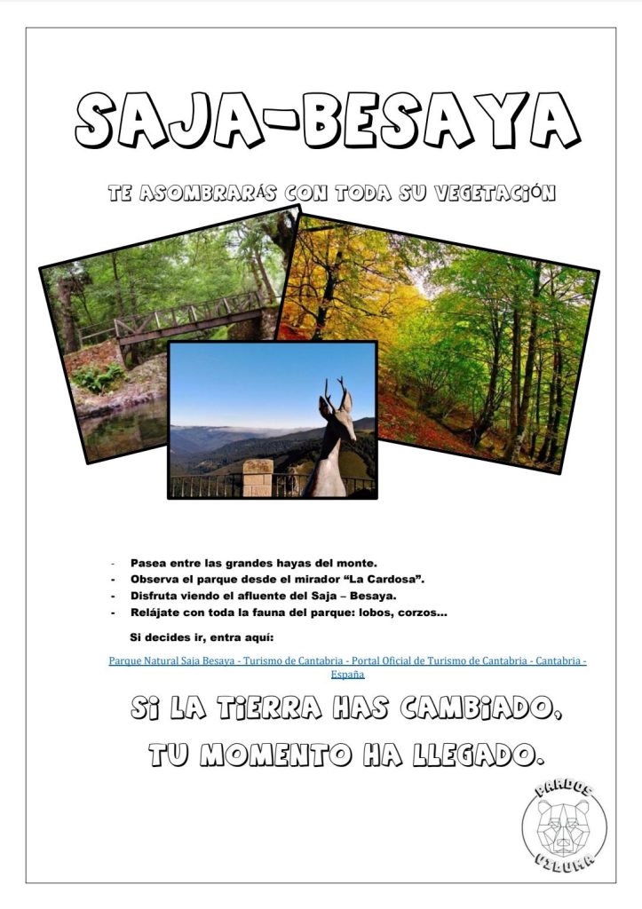 MicrosoftTeams-image (87)