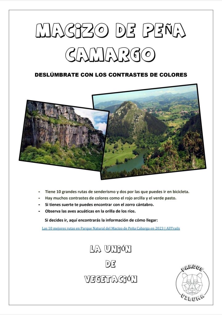 MicrosoftTeams-image (88)