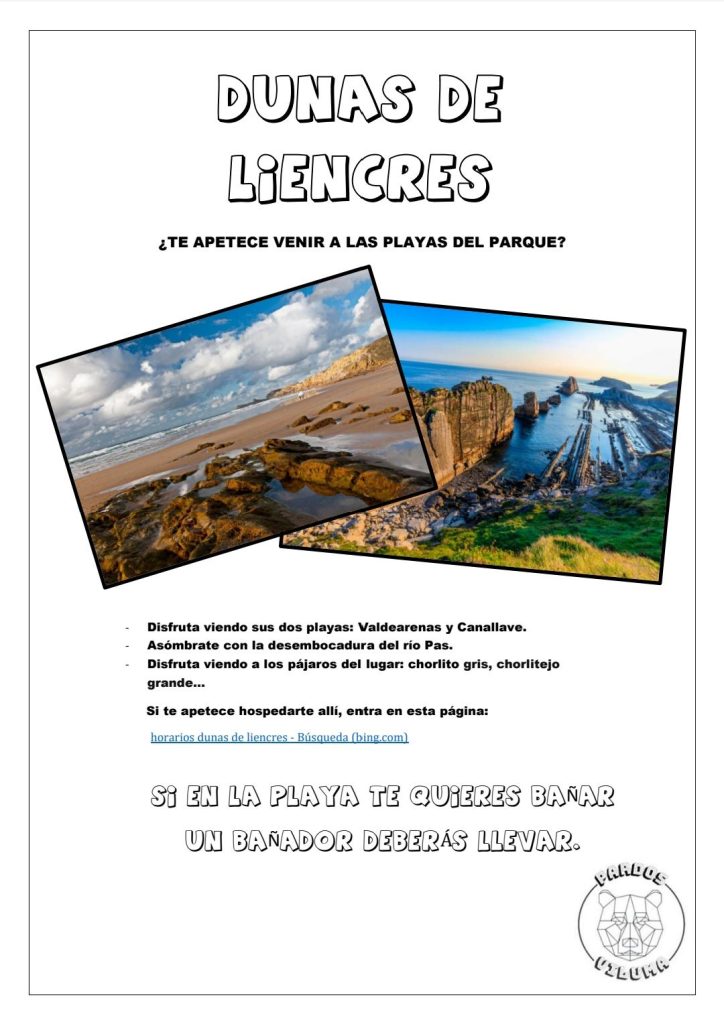 MicrosoftTeams-image (90)