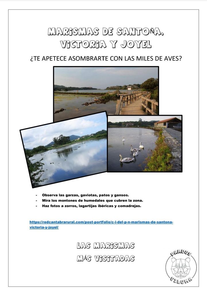 MicrosoftTeams-image (91)